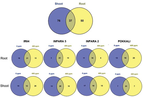 Figure 2. The comparison of metabolite in each vegetative organ (a) and each variety (b) under control and Fe toxicity stress. 0 ppm = control; 400 ppm = Fe toxicity stress.