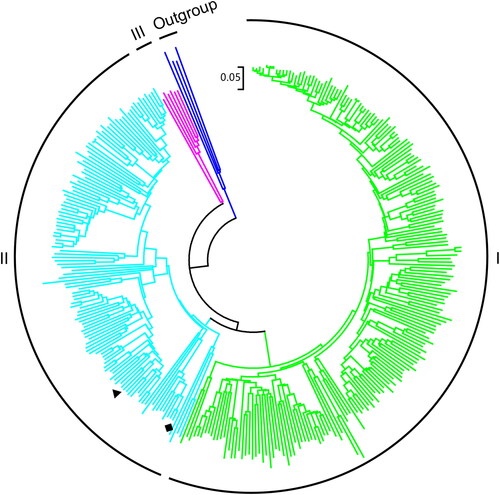 Figure 1. Neighbor-joining phylogenetic tree of STHs. The tree using 331 STH from different representative organisms from each genus with 1000 bootstrap replicates. Phylogenetic analyses were conducted in MEGA 7. The STH sequences used are listed in Supplemental Table S1. AbSTH and NjSTH are marked by “♦”, and “▼” respectively.