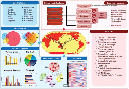 Figure 1. Features available in FunRich. FunRich is a free standalone functional enrichment analysis tool. Users can obtain customisable graphs, charts, interaction networks and heatmaps. All features of these images including color and font is editable and thus allows for quick representation of analysis. In spite of its ease of use, the images produced are of publication quality and can be directly imported into manuscripts. In addition, users have multiple background database options for more than 13,320 species. One of the features requested by the community is the option to update the background databases in real time. FunRich now allows the users to download data from UniProt, Reactome and Gene Ontology databases in real time. Furthermore, users can perform analyses in the context of biological pathways, gene ontology categories, protein domains, site of expression, cancer signatures, transcription factors, clinical phenotypes, extracellular vesicles, miRNA enrichment, protein interaction network and cross database accession conversion. The custom database option allows users to use any data type for any species thereby allowing for flexibility.