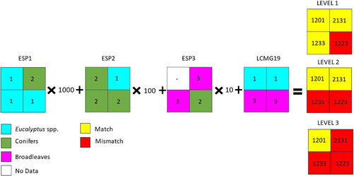 Figure 7. Spatial comparison of the LCMG19 and the MFE. Examples of Level 1, Level 2, and Level 3 matches.