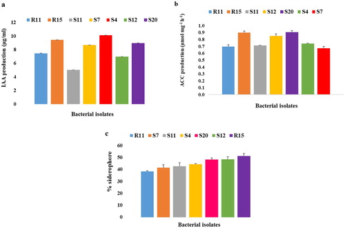 Figure 1. (a) IAA production by bacterial isolates, (b) ACC deaminase activity of bacterial isolates, and (c) Percentage siderophore production by bacterial isolates. All values are means of triplicate determinations ± S.E.