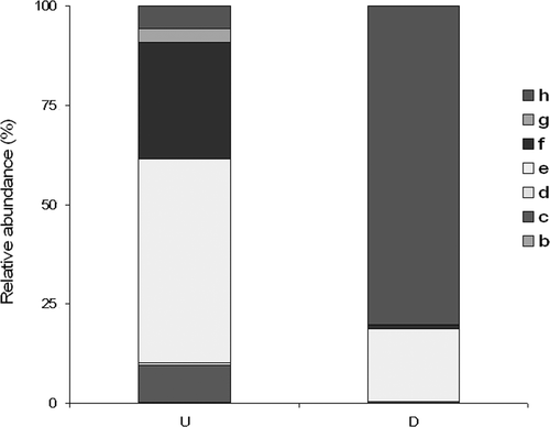 Figure 2. Relative abundance of biological traits groups (Usseglio-Polatera et al. Citation2000) in the functional feeding group presence in the upstream (U) and downstream (D) reaches of Caramagna Creek.