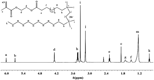 Figure 4. 1H NMR spectra of MEBU-TMEDA-C12.