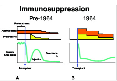 Figure 1. Immunosuppressive treatment algorithms.