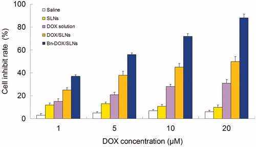 Figure 2. Cell inhibition rate of different groups.