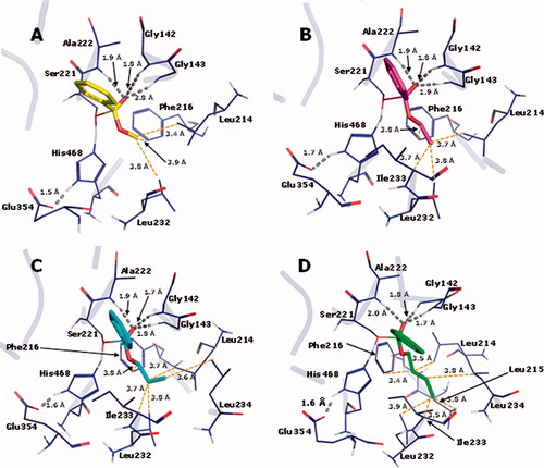 Figure 8. TS interaction profile in the binding site of hCE1 crystallographic structure 1YAJ, for methyl (1, C atoms in yellow), ethyl (2, C atoms in magenta) n-propyl (3, C atoms in cyan) and n-butyl (4, C atoms in green) benzoates. Hydrogen bonds are indicated in grey. O atoms in red and H atoms in white.