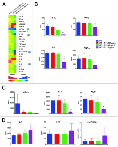 Figure 4. Impact of thimerosal on the pattern of cytokines and chemokines released by mature DCs. Pattern of cytokines and chemokines simultaneously quantified by multiplex bead assay arrays in supernatants from iDCs incubated overnight with LPS (10 µg/mL) in the presence of thimerosal at 0.018, 0.18 µg/mL, and 1.8 µg/mL. (A) Heat map of the percentage of inhibition or activation of cytokine/chemokine expression in the presence of the 3 concentrations of thimerosal (n = 3 experiments). (B) Influence of thimerosal on the production of proinflammatory cytokines, (C) chemokines, and (D) IL-8 and IL10. The bars indicate the mean and standard deviation. Asterisks indicate significant P-values (* P < 0.01, ** < 0.001).