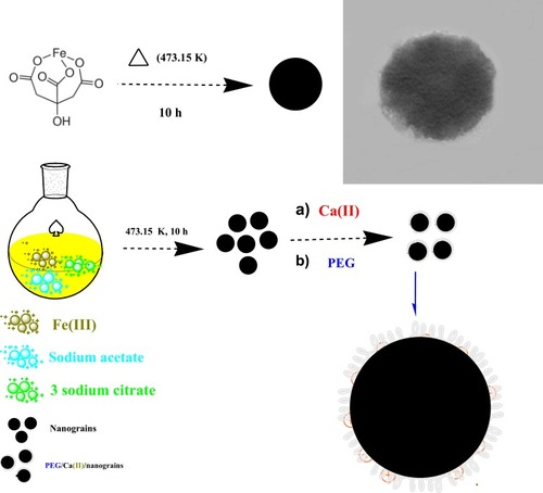 Figure 1 Overall synthesis of monodisperse PEG/Ca(II)/MNGs.