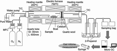 Figure 1. Schematic diagram of the experiment.