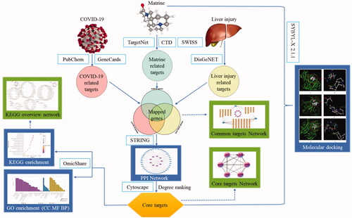 Figure 2. The schematic illustration of this study.