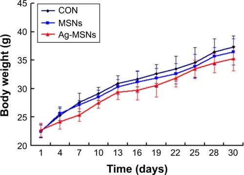 Figure 9 Body weights of mice from the control, MSN-treated, and Ag-MSN-treated groups 30 days after treatment.Note: Each bar represents mean±SD, n=6.Abbreviations: Ag-MSNs, silver-decorated mesoporous silica nanoparticles; CON, control; MSNs, mesoporous silica nanoparticles.