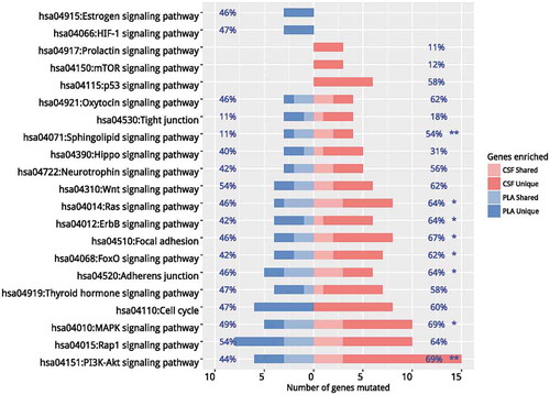 Figure 4. Pathway enrichment analyses. Independent pathway enrichment analyses for CSF and plasma based on mutations occurring in more than 2 patients were performed using DAVID. The cut-off criteria were chosen as default included the EASE score (a modified Fisher Exact p-value proposed by the software) of 0.1 and a minimum of 2 genes belonging to a pathway. Pathways with p values < 0.05 were listed. Percentages on the left of the figure indicate the frequency of a specific pathway mutated in plasma samples and percentages on the right of the figure indicate the frequency of a specific pathway mutated in CSF samples. * denotes p values< 0.05. ** denotes p values< 0.01. CSF, cerebrospinal fluid; PLA, plasma.