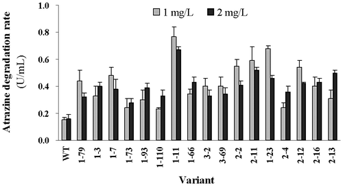 Fig. 2. The atrazine degradation ability of H. pluvialis variants.