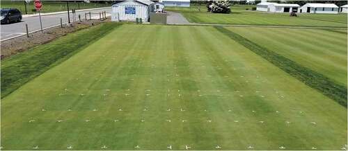 Figure 1. Putting green research plots recently treated by polychlorinated Cu II phthalocyanine colourant (Col) and petroleum-derived spray oil (PDSO) combination product (Col+pdso, Civitas PreM1×ed Turf Defense) and/or liquid N fertilizer foliar application, June, 2019.