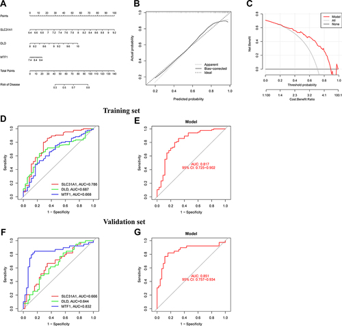 Figure 10 Nomogram model and ROC curve based on 3 M2R-CRGs. (A) Nomogram model based on 3 M2R-CRGs. (B) Calibration curve. (C) Decision curve analysis. (D) ROC curves of 3 M2R-CRGs for the diagnosis of osteomyelitis patients in training set. (E) A Logistic regression model was constructed to distinguish the osteomyelitis samples in training set. (F) ROC curves of 3 M2R-CRGs for the diagnosis of osteomyelitis patients in validation set. (G) A Logistic regression model was constructed to distinguish the osteomyelitis samples in validation set.