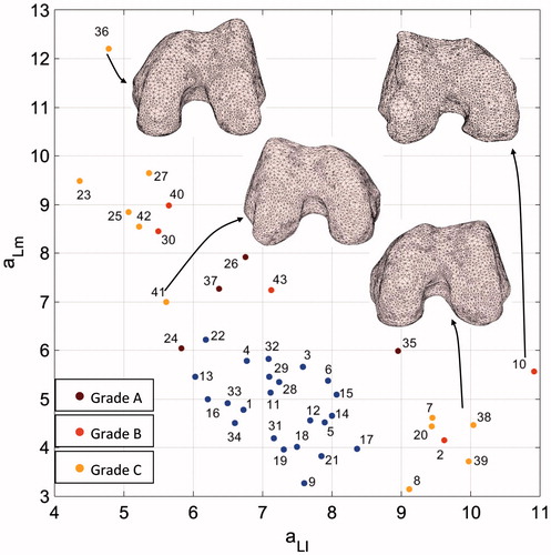 Figure 9. aLm versus aLl graph along with sample distal femur surfaces. Blue dots indicate patients diagnosed with no dysplasia.