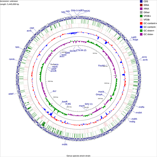 Figure 5 Genome circle diagram of the KP55 strain (marked genes are annotated drug resistance genes).