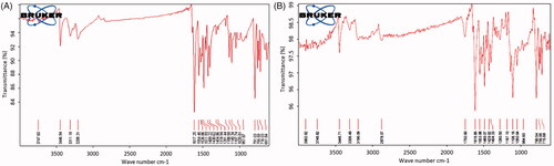 Figure 5. FTIR spectra of (A) Pure LTG (B) LTG-PNPs.