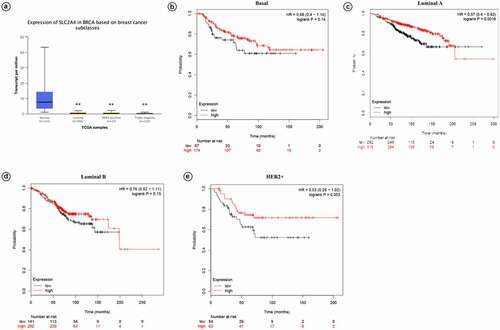 Figure 4. Prognostic values of SLC2A4 in breast cancer patients with different intrinsic subtypes