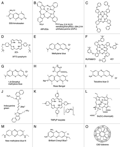 Figure 5. List of some of the PS compounds discussed in the manuscript.