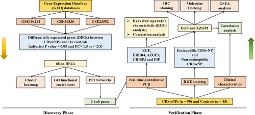 Figure 1 Study workflow from data analysis to subject recruitment and interpretation.