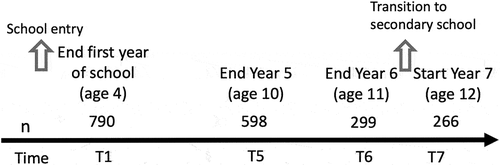 Figure 1. Timeline of the longitudinal study.