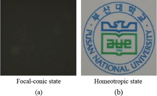 Figure 7. Photographs of the proposed light shutter, where the textures are in the (a) focal-conic (opaque) and (b) homeotropic (transparent) states.