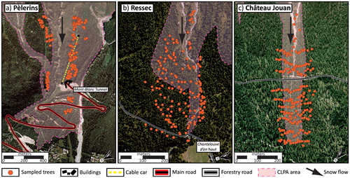 FIGURE 2. Location of sampled trees in the (a) Pèlerins, (b) Ressec, and (c) Château Jouan snow avalanche paths. The CLPA (Carte de Localisation des Phénomènes d'Avalanche) represents historical spatial limits of snow avalanches derived from technical reports and photographs.