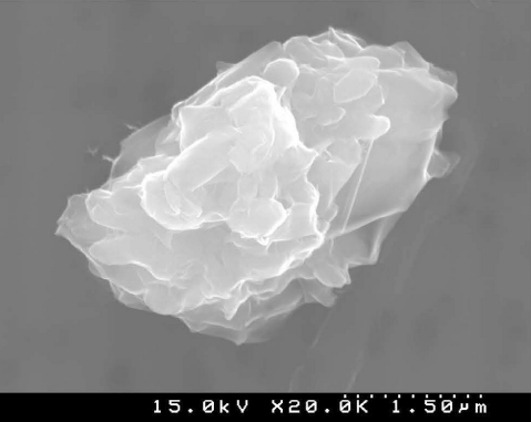 FIG. 2  SEM photomicrograph of Quartz Isolate 2004 (20,000×).