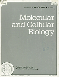 Cover image for Molecular and Cellular Biology, Volume 11, Issue 3, 1991