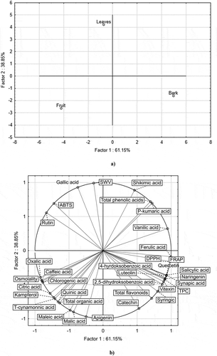 Figure 3. PC analysis for quality indexes in the profile of the analyzed components in P. padus graph (load (a) and scatter plot (b)) related to the content of phenolic acids, flavonols, and LMWOAs as well as antioxidant activity measured by spectroscopic and electrochemical methods