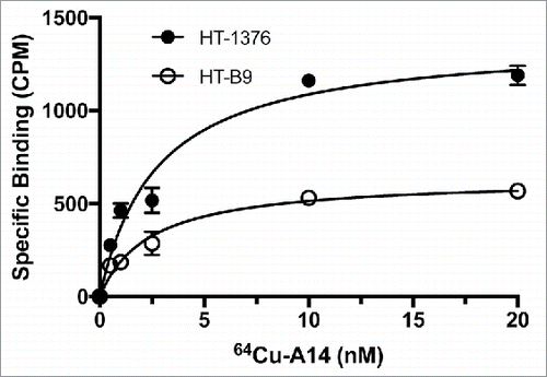 Figure 4. Saturation binding of HT-1376 and HT-B9 cells with 64Cu-A14. Specific binding curves for 64Cu-A14 on HT-1376 and HT-B9 cells. Specific binding is plotted in decay-corrected counts per minute (CPM) versus increasing 64Cu-A14 concentration (nM).