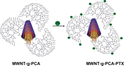 Figure 1 Scheme of conjugated paclitaxel to MWNT-g-PCA.Abbreviations: MWNT, multiwalled carbon nanotube; PCA, poly citric acid.