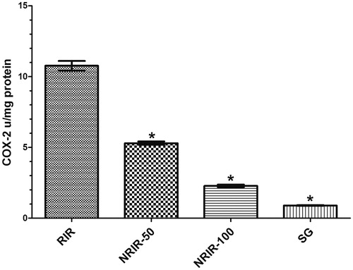 Figure 6. COX-2 activity in RIR, NRIR-50, NRIR-100, and SG groups in rat renal tissue. NRIR-50, NRIR-100, and SG groups compared with the RIR group. *p < 0.0001.