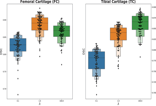 Figure 10. Effect of structural regularization parameter on DSC score.