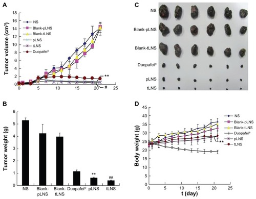 Figure 8 Antitumor effects of poly(ethylene glycol)-mediated docetaxel-lipid-based-nanosuspension, targeted docetaxel-lipid-based-nanosuspension, Duopafei®, blank poly(ethylene glycol)-mediated docetaxel-lipid-based-nanosuspension, blank targeted docetaxel-lipid-based-nanosuspension, and NS on B16 tumor-bearing mice after intravenous administration. Data represent mean ± standard deviation (n = 6). (A) Tumor volume; (B) tumor weight; (C) photographs of tumors excised on day 21; and (D) body weight change.Notes: **P < 0.01 versus the Duopafei group; #P < 0.05 versus the poly(ethylene glycol)-mediated docetaxel-lipid-based-nanosuspension group; ##P < 0.01 versus the poly(ethylene glycol)-mediated docetaxel-lipid-based-nanosuspension group.Abbreviations: pLNS, poly(ethylene glycol)-mediated docetaxel-lipid-based-nanosuspension; t, time; tLNS, targeted docetaxel-lipid-based-nanosuspension.