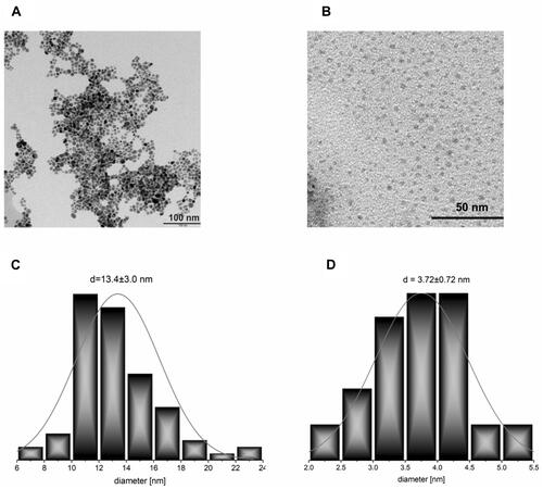 Figure 2 TEM micrographs of the synthesized NPs: (A) AgNPs-CHL; (B) AgNPs-PEG-MET; (C) AgNPs-CHL; (D) AgNPs-PEG-MET. The histograms were prepared based on these images.