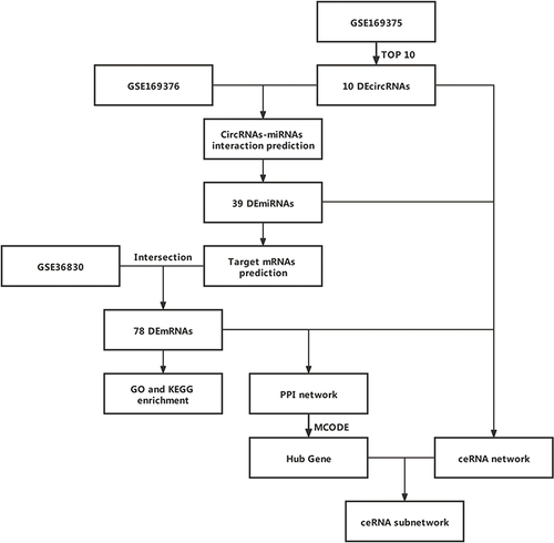 Figure 1 Flowchart of the study.