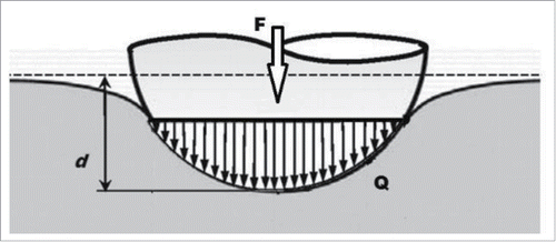 Figure 5. Contact interaction between the indenter and material under an external load F, where Q is the contact pressure value at some displacement d.