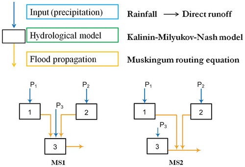 Figure 1. Hydrological conceptual model and proposed model structures.