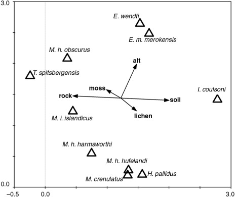 Fig. 3  Ordination diagram of detrended canonical correspondence analysis showing relation of particular tardigrade species (triangles) to altitude and types of substrate (moss or lichen, soil or rock; arrows). Eigenvalue of the first axis: 0.562; second axis: 0.374. Monte Carlo permutation test: F=3.446, p=0.004.