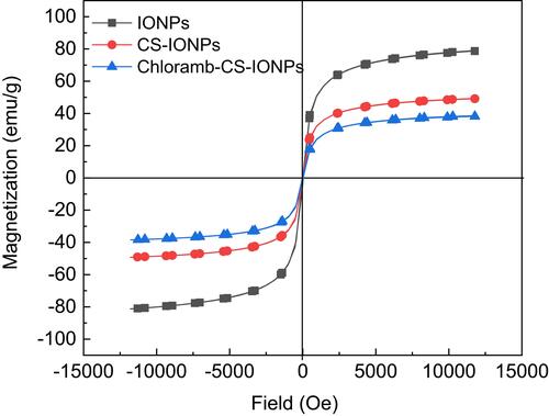 Figure 7 Magnetization curves of IONPs, CS-IONPs, and chloramb-CS-IONPs recorded at room temperature.