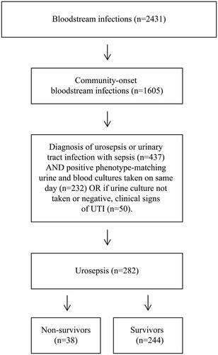 Figure 1. Flow chart with the number of bloodstream infection episodes and the number of eligible urosepsis patients (n = 282), divided into non-survivors (n = 38) and survivors (n = 244).