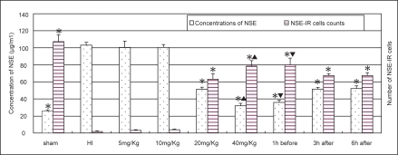 Figure 6 Alternations of the NSE level in serum (n = 8) and the number of NSE staining cells in the cortex (n = 6) in different groups. *Indicates statistically significant differences vs HI group values (P < 0.01). NSE level in serum is decreased, whereas the number of NSE staining cells is increased, comparing with HI controls. ▴Indicates statistically significant differences between LTG treated-groups of 20 mg/kg and 40 mg/kg (P < 0.01). ▾Indicates a statistically significant difference between the pre-treated and post-treated groups (P < 0.01).