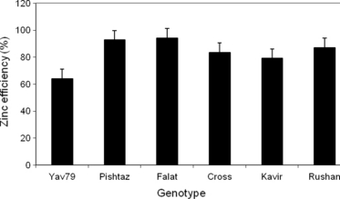 Figure 1 Zinc efficiency (ratio of shoot dry matter produced in the Zn-free treatment to the Zn treatment) of the studied genotypes. Error bars indicate standard error.