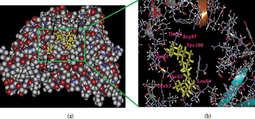 Figure 5. The variable regions of antibody interaction with PFLX. (a) The variable region 3D structure in complex with the ligand PFLX. (b) The pocket of the binding site. Residues that contribute most to the binding energy are represented as sticks model and labeled.