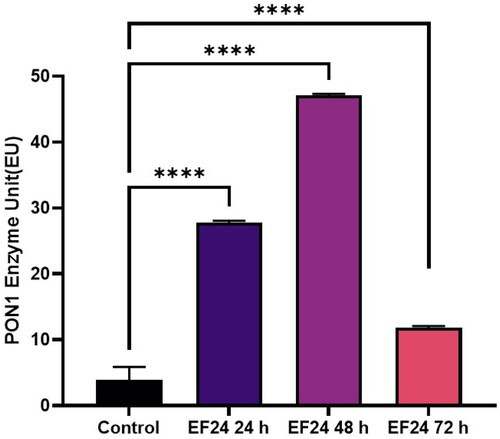 Figure 2. Modulating effects of EF 24 on PON 1 enzyme activity in human glioblastoma cells U87MG.