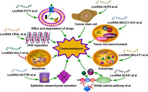 Figure 2 Mechanism diagram of long non-coding RNAs in the chemoresistance of gastric cancer.