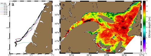 Figure 4. (a) Buoy trajectories simulated using model C for different values of Ekman depth d, compared to the observed trajectory in the portion of the Gulf of St. Lawrence west of Newfoundland (black dots and line). (b) Daily-averaged Ekman depth calculated with Equation (Equation19(19) d=δ1(ν=0)=z2−z1lnuag(z2)uag(z1)(19) ) for 2 June 2014.