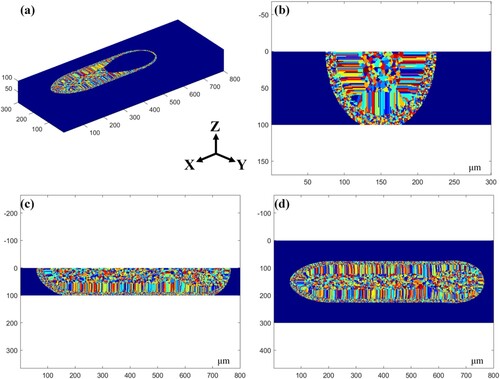 Figure 8. Numerical simulation results of single-pass laser melt pool grain growth. (a) Three-dimensional display of the grain growth process; cross-sectional views of the Z-Y plane (b), X-Z plane (c) and Y-X plane (d) after solidification of the molten pool.